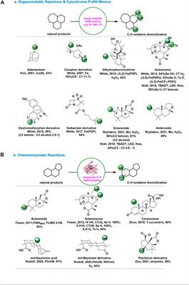 Electrochemical Late-Stage Functionalization