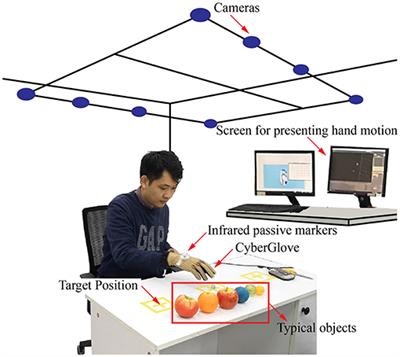 Frontiers | Learning Grasp Configuration Through Object-Specific Hand ...