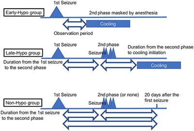 Frontiers | Truncal Instability and Titubation in Patients With Acute ...