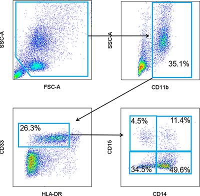 Frontiers | Effect of Immune Checkpoint Blockade on Myeloid-Derived ...