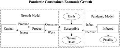 Frontiers | The COVID-19 Pandemic and Economic Growth: Theory and ...