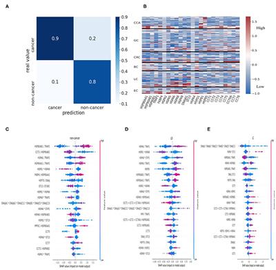 Frontiers | Heat Shock Proteins in Urine as Cancer Biomarkers