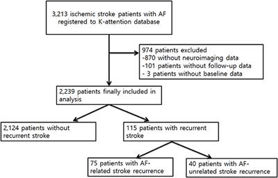 Frontiers | Atrial Fibrillation Related and Unrelated Stroke Recurrence ...