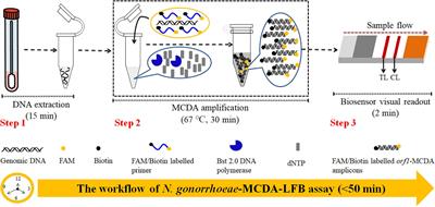 STI Panel 2.0 RT-PCR Go Plate Test Kit