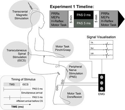 Neuromodulation (SCS/PNS) - Axis Spine Center