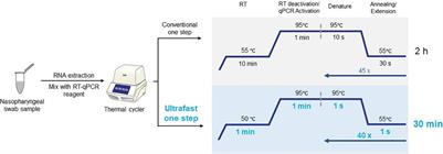 | An Ultrafast One-Step Quantitative Reverse Transcription–Polymerase Chain Reaction Assay for Detection of SARS-CoV-2