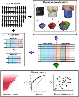 Frontiers  Prediction of Cardiac Mechanical Performance From Electrical  Features During Ventricular Tachyarrhythmia Simulation Using Machine  Learning Algorithms