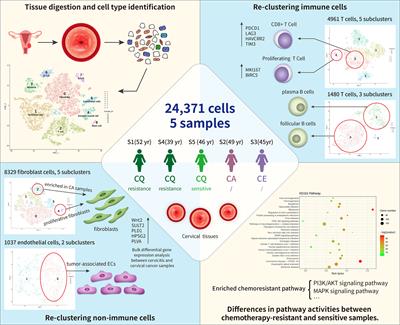 The diversity and commonalities of the radiation-resistance