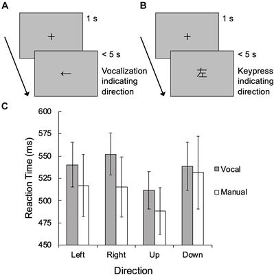 Frontiers Visual And Verbal Processes In Right Left Confusion Psychometric And Experimental Approaches Psychology