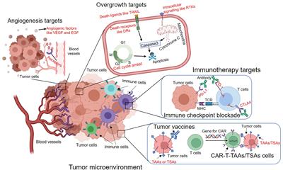 Frontiers | Evolution of Molecular Targeted Cancer Therapy: Mechanisms ...