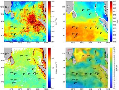 Frontiers | Spatial Variation in Primary Production in the Eastern ...