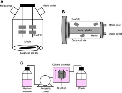 Comparing micro to macro. (A) A biological microscale, here a set of