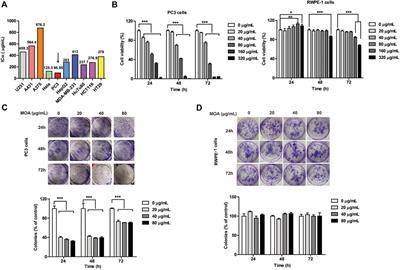 Frontiers | Corrigendum: Moringa oleifera Alkaloids Inhibited PC3 Cells ...