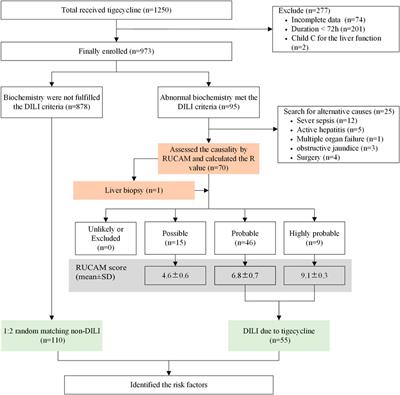 Frontiers | Real-World Data of Tigecycline-Associated Drug-Induced ...