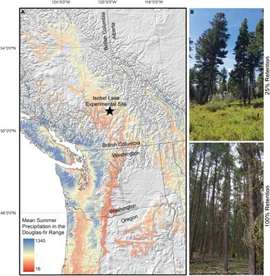 Frontiers | Partial cutting in a dry temperate forest ecosystem ...