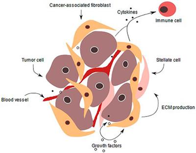 Frontiers | Microfluidic Platforms for High-Throughput Pancreatic ...