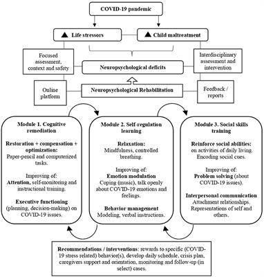 Frontiers  Addressing the Interactive Effects of Maltreatment and COVID-19  Related Stressors on the Neuropsychological Functioning in Children