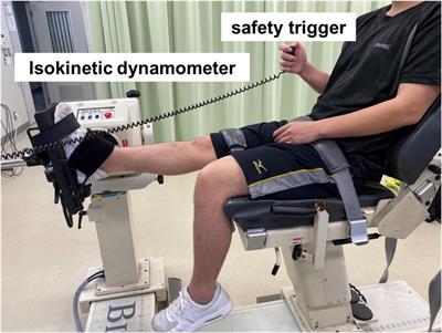 Jack-knife stretching and active knee extension stretching equally improve  the relative flexibility of the hamstring muscles between the low back: A  randomized controlled trial - ScienceDirect