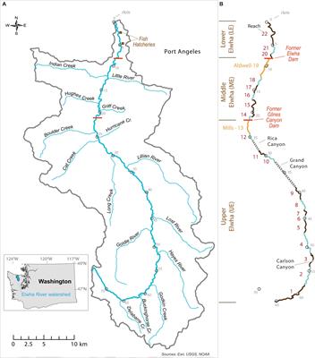 Frontiers | Reconnecting the Elwha River: Spatial Patterns of Fish ...