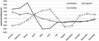 Comparing the Effectiveness of Different Grain Storage Bags