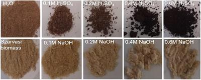 Frontiers | Microwave Assisted Pretreatment of Szarvasi (Agropyron ...