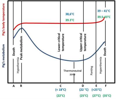 PDF) The Rise of Heatstroke as a Method of Depopulating Pigs and Poultry:  Implications for the US Veterinary Profession