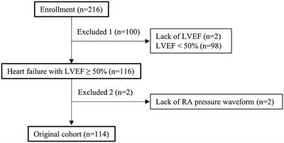 Frontiers | The Impact of Deep Y Descent on Hemodynamics in Patients ...