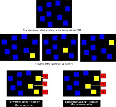 Color Swathi Sex Video - Frontiers | Effect of Trataka (Yogic Visual Concentration) on the  Performance in the Corsi-Block Tapping Task: A Repeated Measures Study