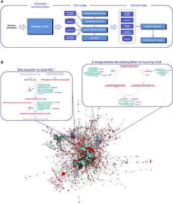 Enhancing the capability of Klebsiella pneumoniae to produce 1,  3‐propanediol by overexpression and regulation through CRISPR‐dCas9 - Wang  - 2022 - Microbial Biotechnology - Wiley Online Library