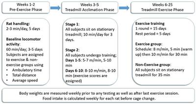 Changes in 15-meter sprint test performance pre-and post