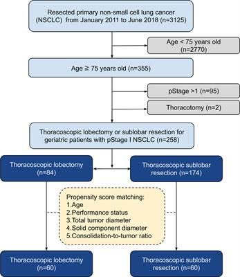 Frontiers | Thoracoscopic Lobectomy Versus Sublobar Resection for ...