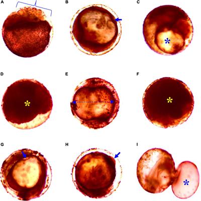 Frontiers | Influences of Salinity on Embryonic and Larval Development ...