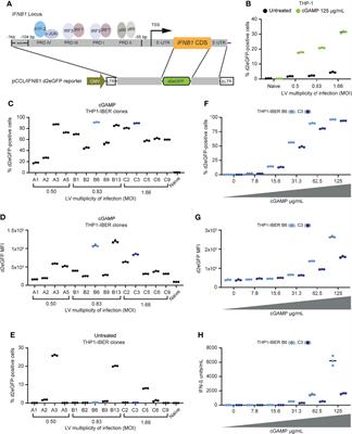 Frontiers | Single-Cell Monitoring of Activated Innate Immune Signaling ...