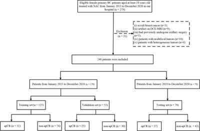 Frontiers | A Clinical–Radiomics Model for Predicting Axillary ...