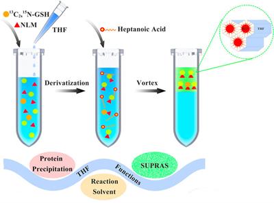 Frontiers | Synergistic Combination of Facile Thiol-Maleimide ...