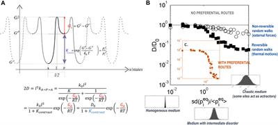 Food structuring is a multiscale problem, with micro-and macroscale