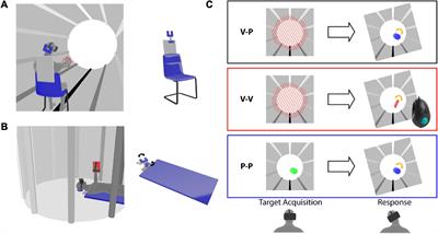 How Tilting Interferes The Head Sensory Visuo-Proprioceptive, Eye-Hand Transformations Role Cross-Modal - Gravity in the With of Coordination: Frontiers