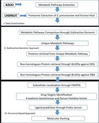 Identification of levoglucosan degradation pathways in bacteria and  sequence similarity network analysis