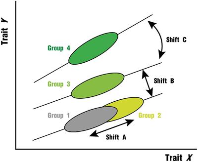 The Evolution of Plant Functional Variation: Traits, Spectra, and