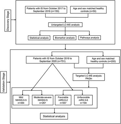 Frontiers | Phenylacetylglutamine, a Novel Biomarker in Acute Ischemic ...