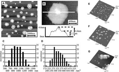 Frontiers Biosensing Characterization Of Biosensors And Improved Drug Delivery Approaches Using Atomic Force Microscopy A Review