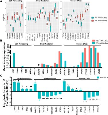 Frontiers | Complex Involvement of the Extracellular Matrix, Immune ...