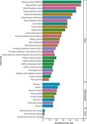 Frontiers The Dynamics Of Somatic Mutagenesis During Life In Humans Aging