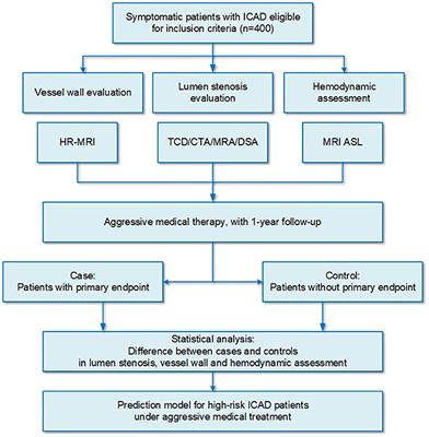 Frontiers | High-Risk Intracranial Atherosclerotic Stenosis Despite ...