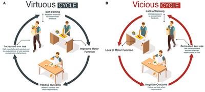 Frontiers | Virtuous and Vicious Cycles of Arm Use and Function Post-stroke