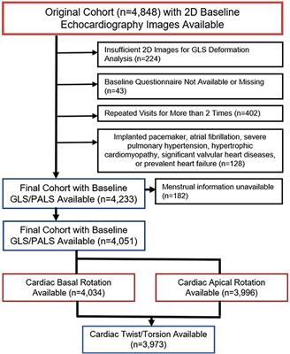 Highlighting the role of global longitudinal strain assessment in valvular  heart disease, The Egyptian Heart Journal