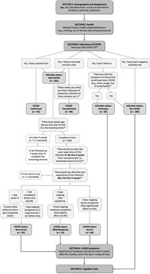 Frontiers  Cognitive impairment after long COVID-19: current evidence and  perspectives