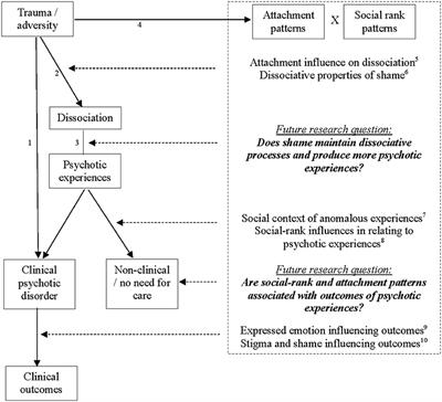 Frontiers | Trauma and Social Pathways to Psychosis, and Where the Two ...