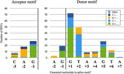 Frontiers Analysis Of Pathogenic Pseudoexons Reveals Novel Mechanisms Driving Cryptic Splicing