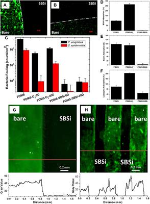 Frontiers  Anti-Biofouling Polymers with Special Surface Wettability for  Biomedical Applications